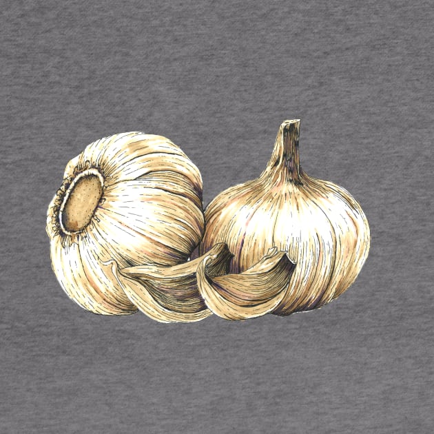 Garlic by LittleAmyLiz